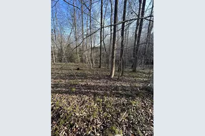 147 Double Eagle Drive #23, Nebo, NC 28761 - Photo 28