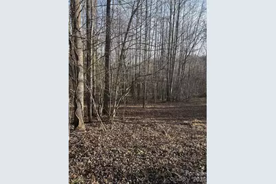 147 Double Eagle Drive #23, Nebo, NC 28761 - Photo 22