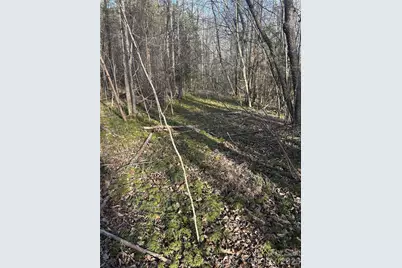 147 Double Eagle Drive #23, Nebo, NC 28761 - Photo 34