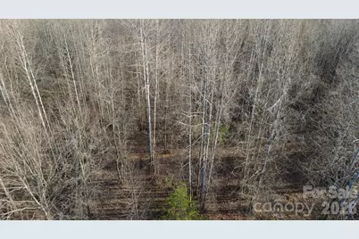 147 Double Eagle Drive #23, Nebo, NC 28761 - Photo 18