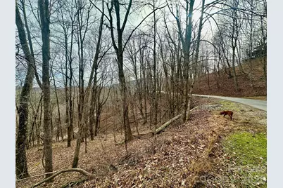 Tbd Alpine Drive #21-22, Seven Devils, NC 28604 - Photo 6