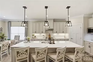 804 Dogwood Crk Ln, Indian Trail, NC 28079 - Photo 6