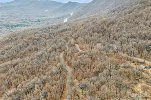 1586 Skyuka Mountain Rd, Columbus, NC 28722 - Photo 48