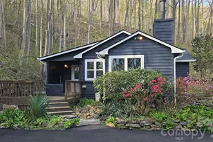 1586 Skyuka Mountain Rd, Columbus, NC 28722 - Photo 2