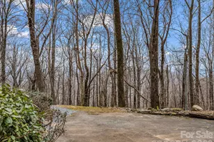 1586 Skyuka Mountain Rd, Columbus, NC 28722 - Photo 38