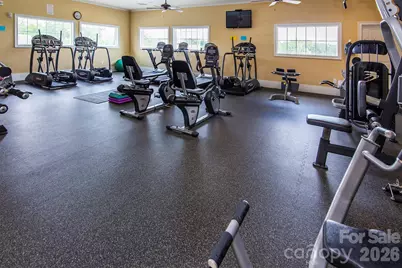 6020 Sayles Way, Fort Mill, SC 29715 - Photo 46