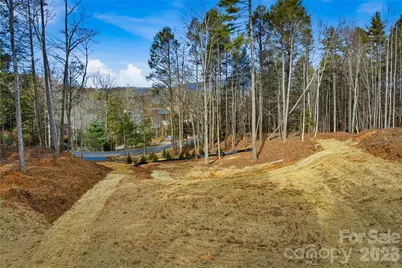 1037 Harborside Drive #Lot 207, Nebo, NC 28761 - Photo 10