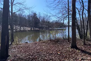 864 Butler Lake Rd, Chester, SC 29706 - Photo 20