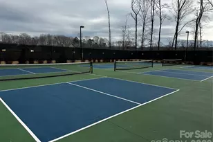 1104 Idyllic Ln, Waxhaw, NC 28173 - Photo 36