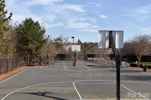 5019 Ballwood Ln, Indian Land, SC 29707 - Photo 42