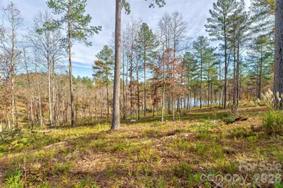 3084 Mount Harvard Court #79, Connelly Springs, NC 28612 - Photo 4