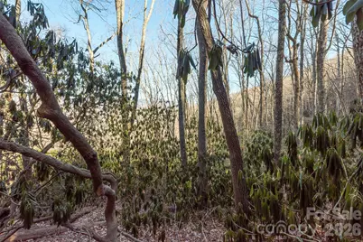 00 Wildflower Cove Road #18, Swannanoa, NC 28778 - Photo 30