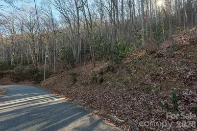 00 Wildflower Cove Road #18, Swannanoa, NC 28778 - Photo 20