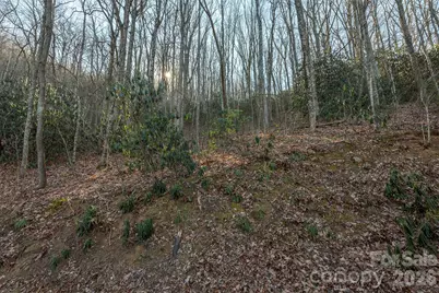 00 Wildflower Cove Road #18, Swannanoa, NC 28778 - Photo 22
