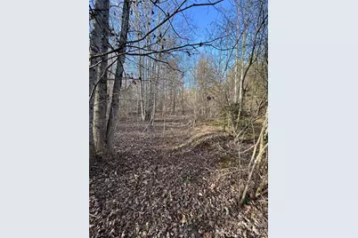 Lot 24 Double Eagle Drive #24, Nebo, NC 28761 - Photo 30