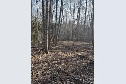 Lot 24 Double Eagle Drive #24, Nebo, NC 28761 - Photo 20