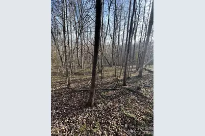 Lot 24 Double Eagle Drive #24, Nebo, NC 28761 - Photo 22