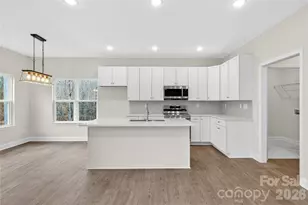 229 Shenandoah Loop, Troutman, NC 28166 - Photo 32