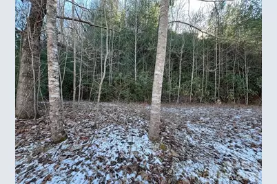 621 Round Top Road, Almond, NC 28702 - Photo 10