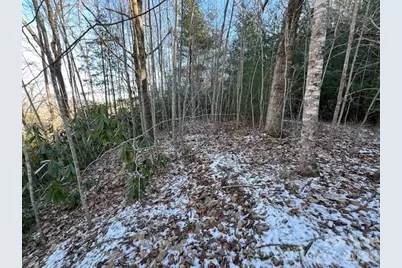 621 Round Top Road, Almond, NC 28702 - Photo 12