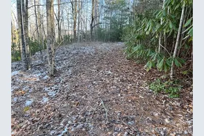 621 Round Top Road, Almond, NC 28702 - Photo 6