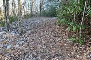 621 Round Top Rd, Almond, NC 28702 - Photo 6