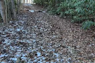 621 Round Top Rd, Almond, NC 28702 - Photo 4