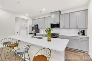 1221 Colgher St, Charlotte, NC 28227 - Photo 4