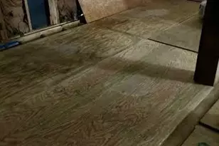 617 Barkers Creek Rd, Whittier, NC 28789 - Photo 4