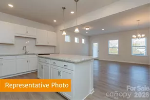 6104 Jasmine Br Rd, Charlotte, NC 28216 - Photo 6