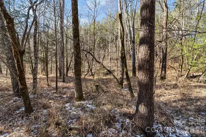 4444 Dashley Circle, Catawba, SC 29704 - Photo 46