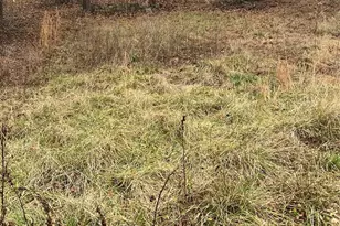 322 Pinnacle Church Rd, Nebo, NC 28761 - Photo 1