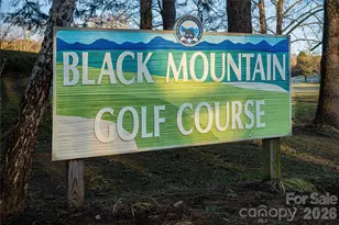 829 N Oconeechee Ave, Black Mountain, NC 28711 - Photo 32