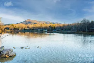 829 N Oconeechee Ave, Black Mountain, NC 28711 - Photo 30