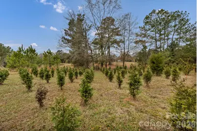 6330 Richburg Road, Great Falls, SC 29055 - Photo 24