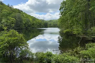 820 Shuler Lake Rd, Robbinsville, NC 28713 - Photo 4