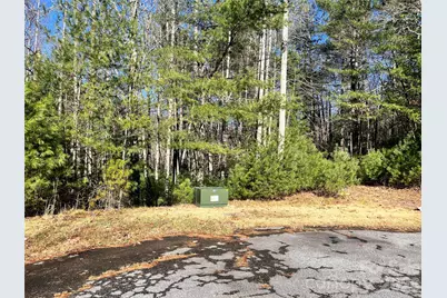 999 Trellum Trail #12, Hendersonville, NC 28739 - Photo 18