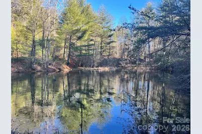 999 Trellum Trail #12, Hendersonville, NC 28739 - Photo 24