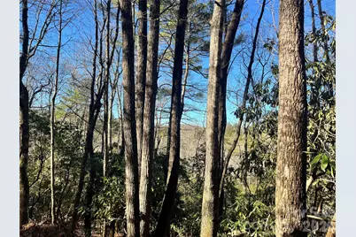 999 Trellum Trail #12, Hendersonville, NC 28739 - Photo 16