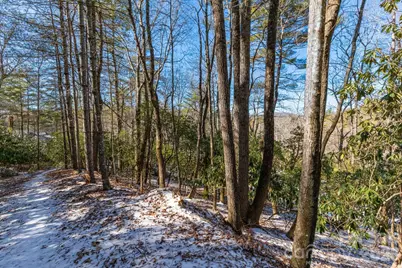 999 Trellum Trail #12, Hendersonville, NC 28739 - Photo 8