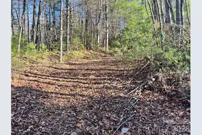 999 Trellum Trail #12, Hendersonville, NC 28739 - Photo 14