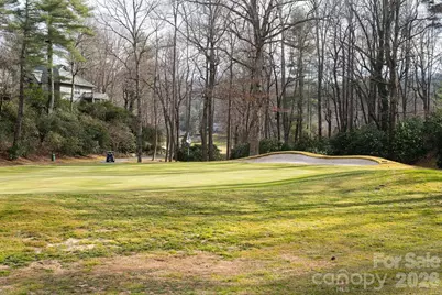 208 Glenroy Court, Flat Rock, NC 28731 - Photo 48