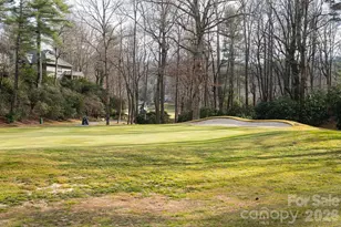 208 Glenroy Ct, Flat Rock, NC 28731 - Photo 48