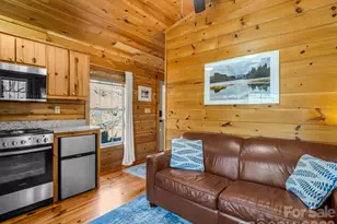 365 Seton Rd, Lake Lure, NC 28746 - Photo 10