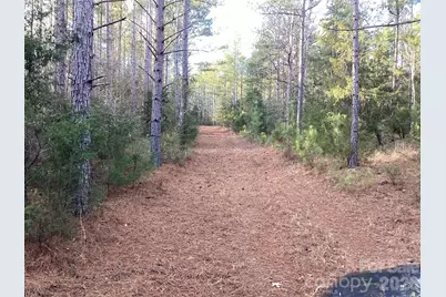 00 Pathway Lane, Chester, SC 29706 - Photo 26