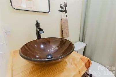 241 Golden Hawk Drive #85, Bryson City, NC 28713 - Photo 32