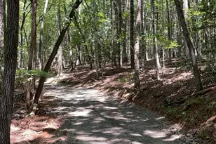 919 Panther Top Rd, Murphy, NC 28906 - Photo 1