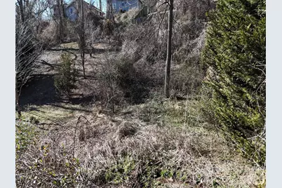 56 Moore Avenue, Asheville, NC 28806 - Photo 8