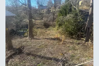 56 Moore Avenue, Asheville, NC 28806 - Photo 12