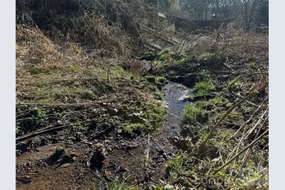 56 Moore Avenue, Asheville, NC 28806 - Photo 24